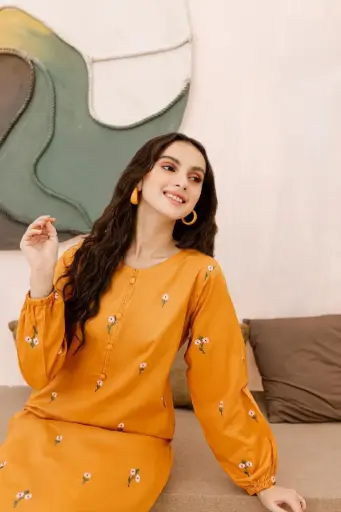 PRESENTING COCO BY ZARASHAJAN BRAND EMBRIODERED 2PC ARTICLE